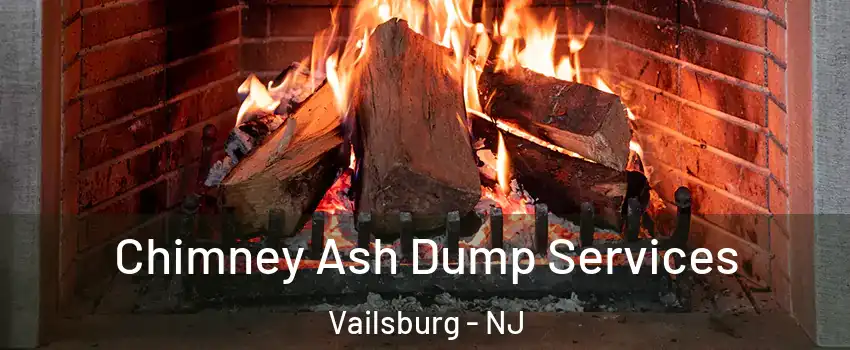 Chimney Ash Dump Services Vailsburg - NJ