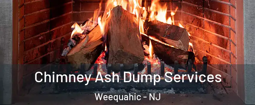 Chimney Ash Dump Services Weequahic - NJ
