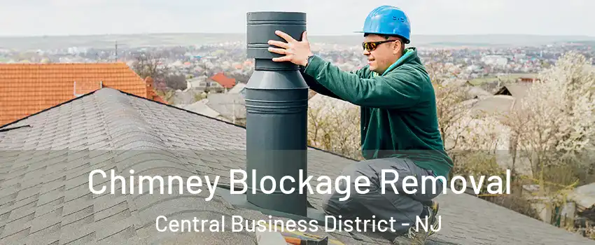 Chimney Blockage Removal Central Business District - NJ