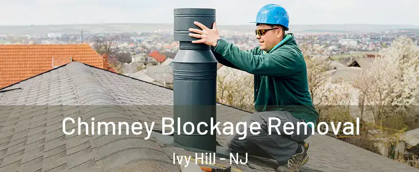 Chimney Blockage Removal Ivy Hill - NJ