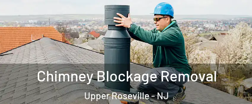 Chimney Blockage Removal Upper Roseville - NJ