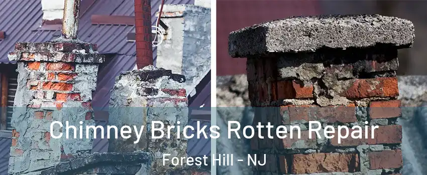 Chimney Bricks Rotten Repair Forest Hill - NJ