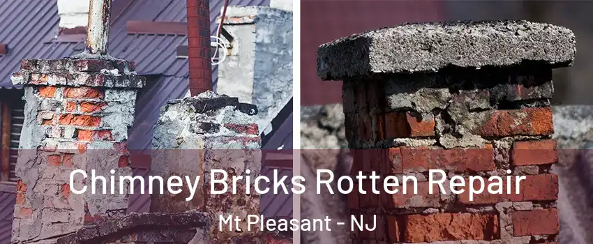 Chimney Bricks Rotten Repair Mt Pleasant - NJ