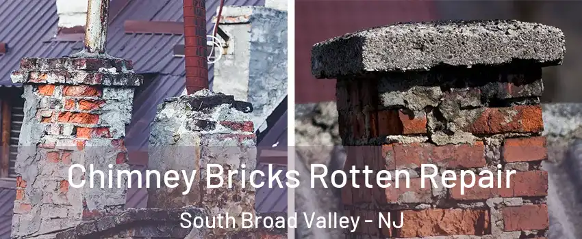 Chimney Bricks Rotten Repair South Broad Valley - NJ