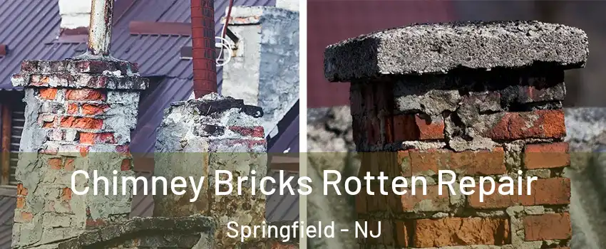 Chimney Bricks Rotten Repair Springfield - NJ