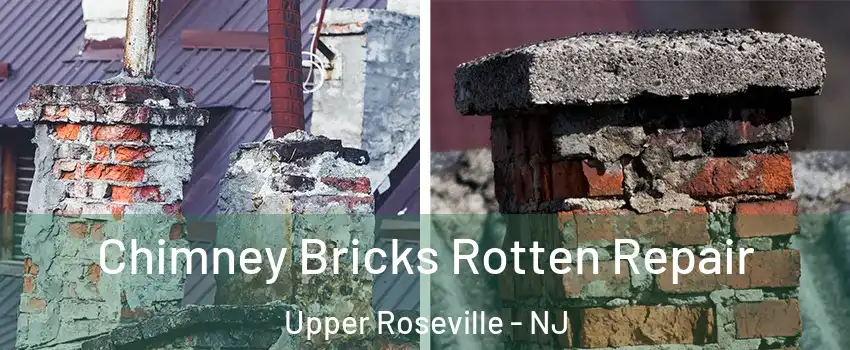 Chimney Bricks Rotten Repair Upper Roseville - NJ