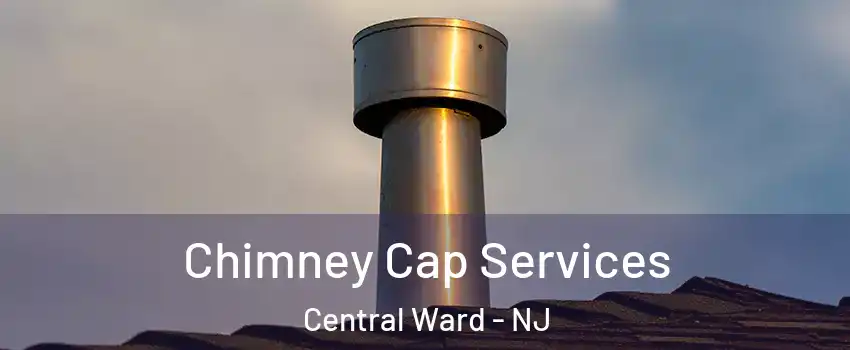 Chimney Cap Services Central Ward - NJ