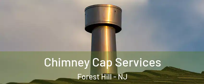 Chimney Cap Services Forest Hill - NJ