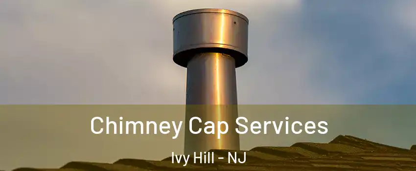 Chimney Cap Services Ivy Hill - NJ
