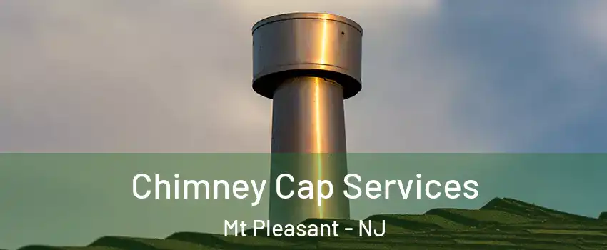 Chimney Cap Services Mt Pleasant - NJ