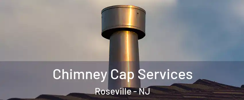 Chimney Cap Services Roseville - NJ