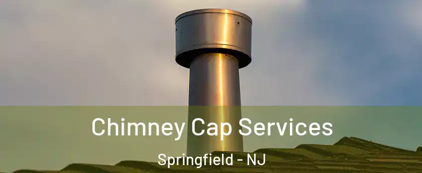 Chimney Cap Services Springfield - NJ
