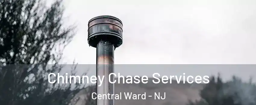 Chimney Chase Services Central Ward - NJ
