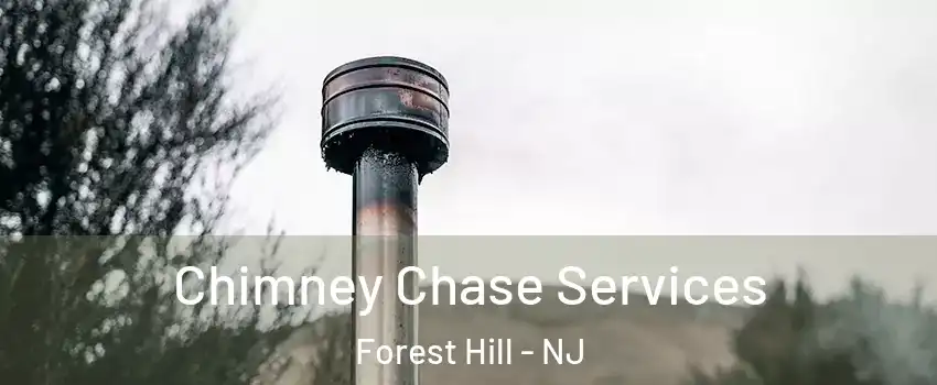 Chimney Chase Services Forest Hill - NJ