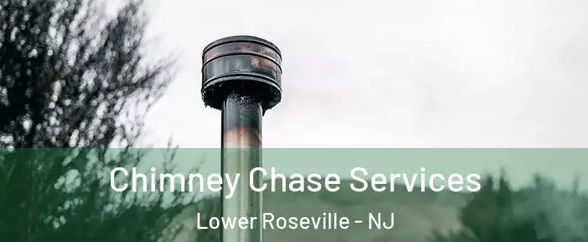 Chimney Chase Services Lower Roseville - NJ
