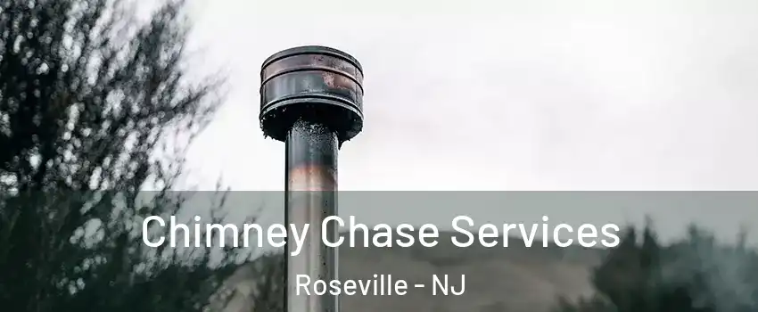 Chimney Chase Services Roseville - NJ