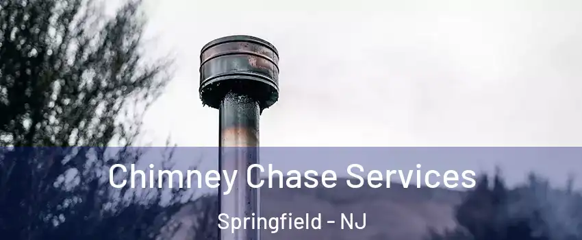 Chimney Chase Services Springfield - NJ