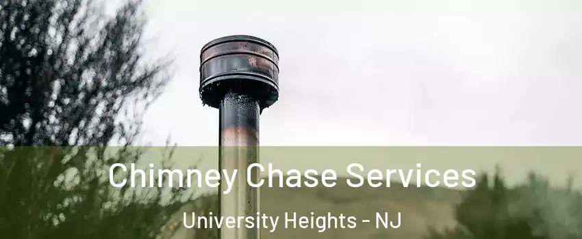 Chimney Chase Services University Heights - NJ