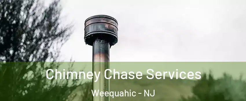 Chimney Chase Services Weequahic - NJ