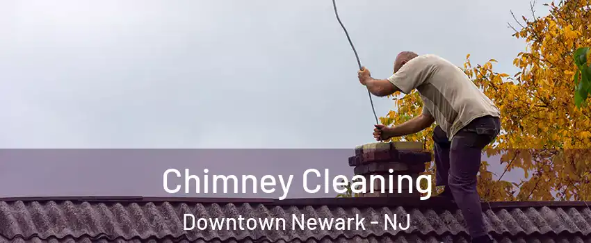 Chimney Cleaning Downtown Newark - NJ