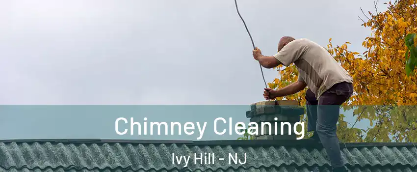 Chimney Cleaning Ivy Hill - NJ