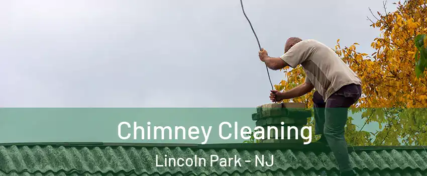 Chimney Cleaning Lincoln Park - NJ