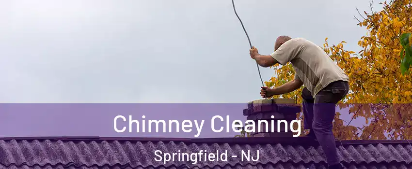 Chimney Cleaning Springfield - NJ