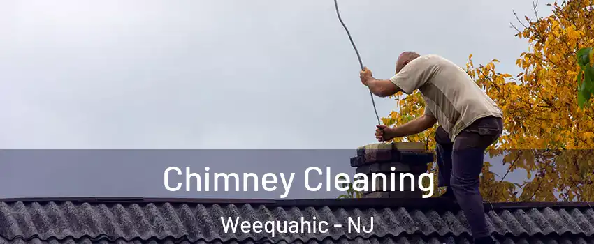 Chimney Cleaning Weequahic - NJ