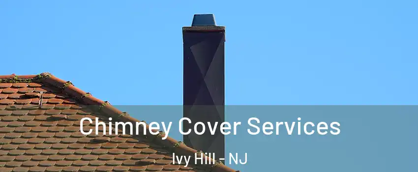 Chimney Cover Services Ivy Hill - NJ