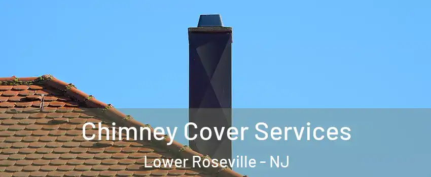 Chimney Cover Services Lower Roseville - NJ