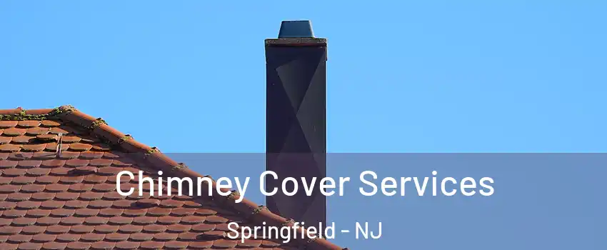 Chimney Cover Services Springfield - NJ