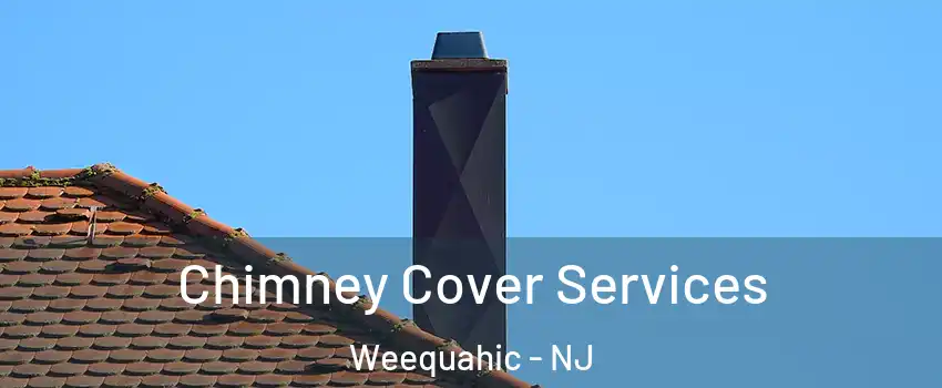 Chimney Cover Services Weequahic - NJ