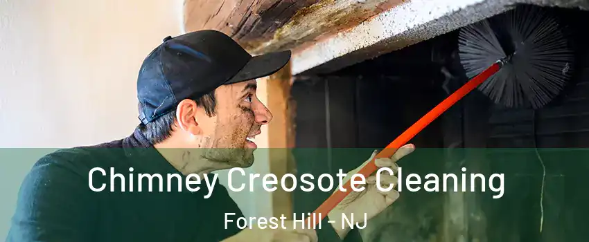 Chimney Creosote Cleaning Forest Hill - NJ