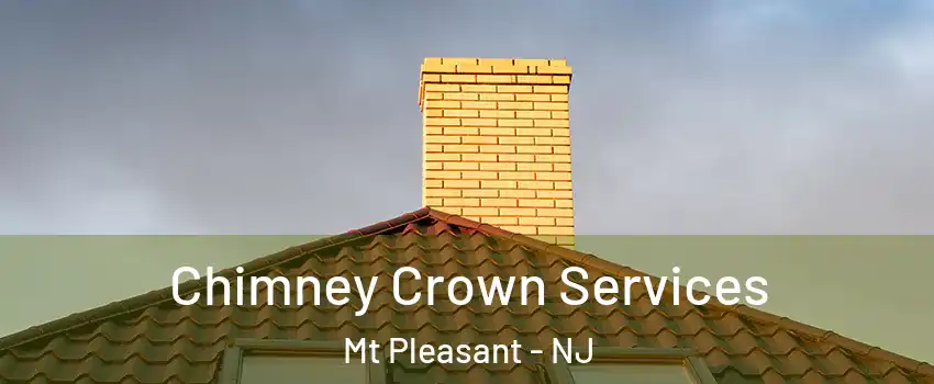 Chimney Crown Services Mt Pleasant - NJ