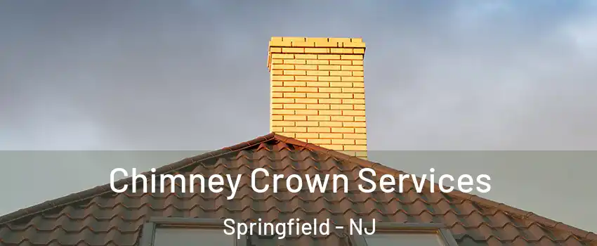 Chimney Crown Services Springfield - NJ