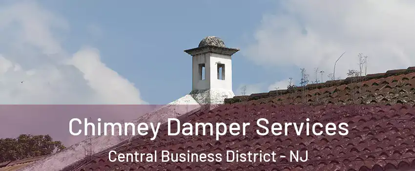 Chimney Damper Services Central Business District - NJ