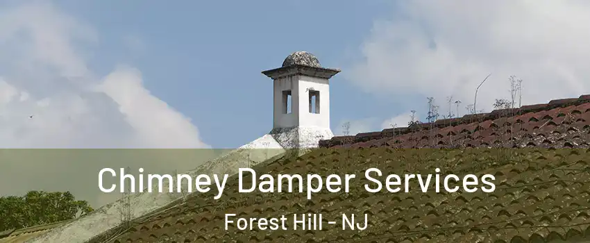 Chimney Damper Services Forest Hill - NJ
