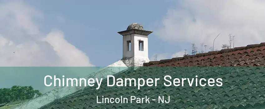 Chimney Damper Services Lincoln Park - NJ