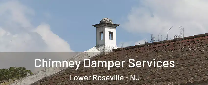 Chimney Damper Services Lower Roseville - NJ