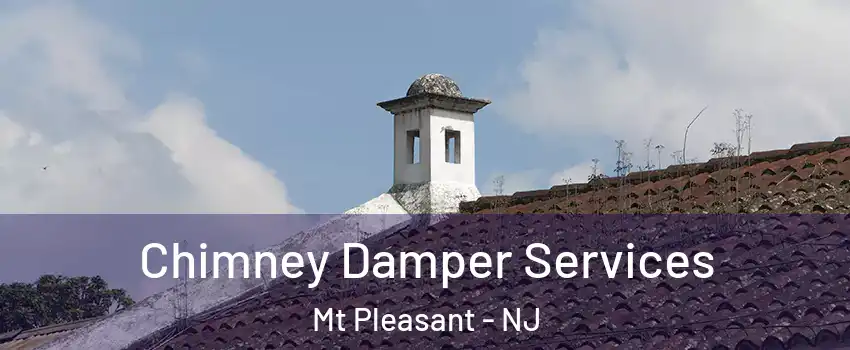 Chimney Damper Services Mt Pleasant - NJ