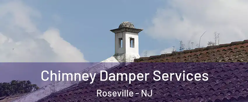 Chimney Damper Services Roseville - NJ