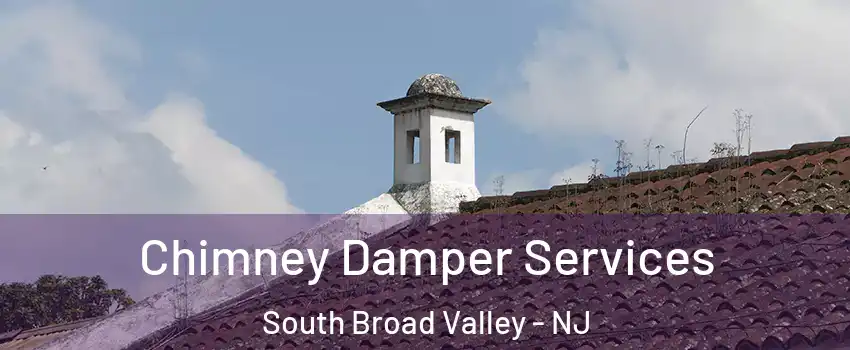 Chimney Damper Services South Broad Valley - NJ