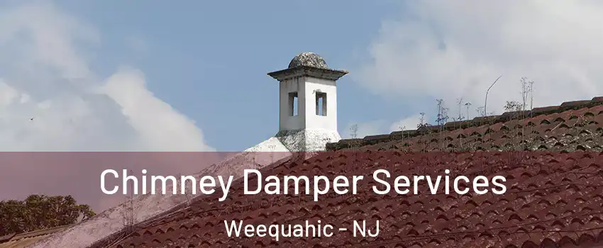 Chimney Damper Services Weequahic - NJ