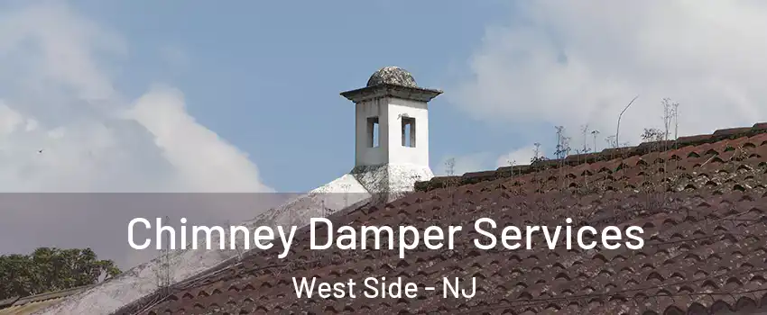 Chimney Damper Services West Side - NJ
