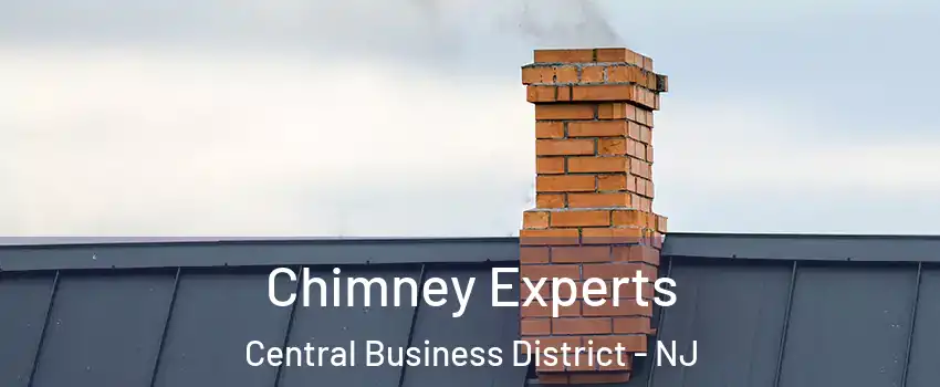 Chimney Experts Central Business District - NJ