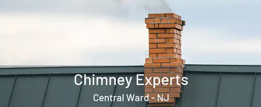 Chimney Experts Central Ward - NJ