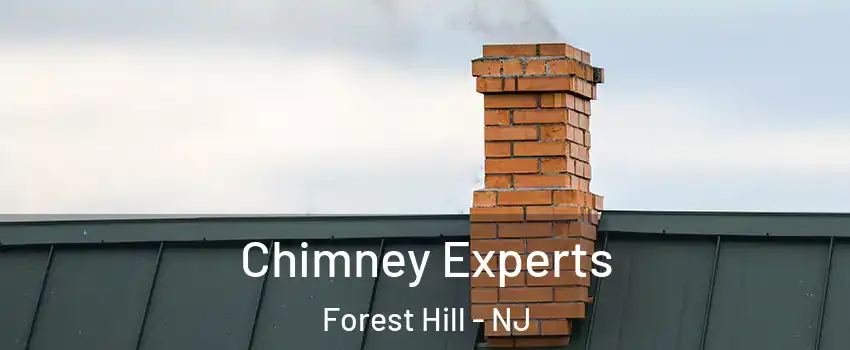 Chimney Experts Forest Hill - NJ