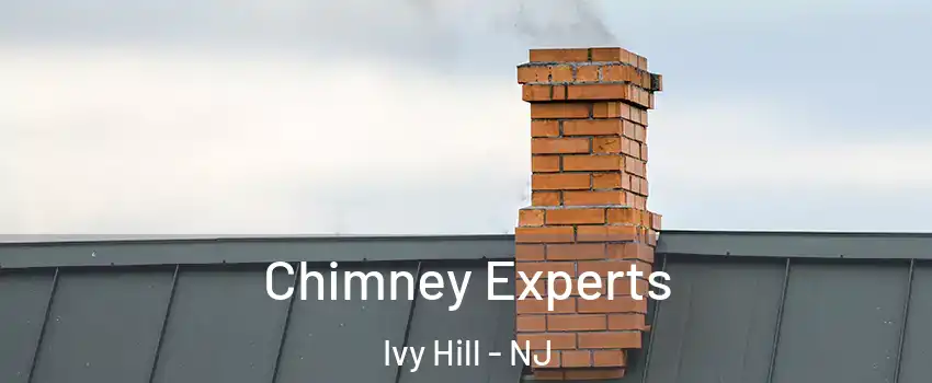 Chimney Experts Ivy Hill - NJ
