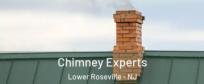 Chimney Experts Lower Roseville - NJ