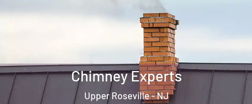 Chimney Experts Upper Roseville - NJ